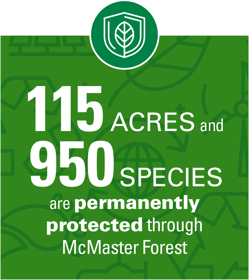 115 acres and 950 species are permanently protected through McMaster Forest