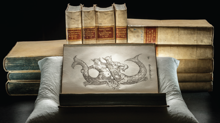 Aged book resting open on a pillow, showing an illustration of two figures with human-like torsos and mermaid-like tails.