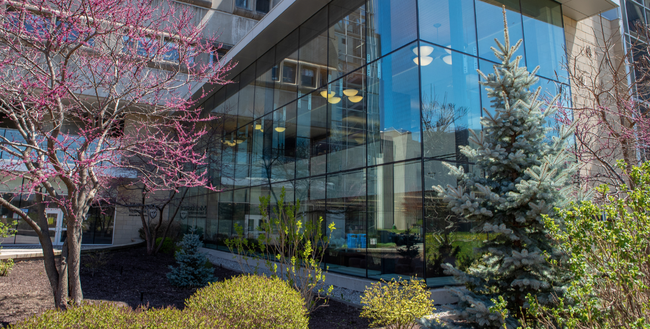 Exterior windows of Health Sciences Library